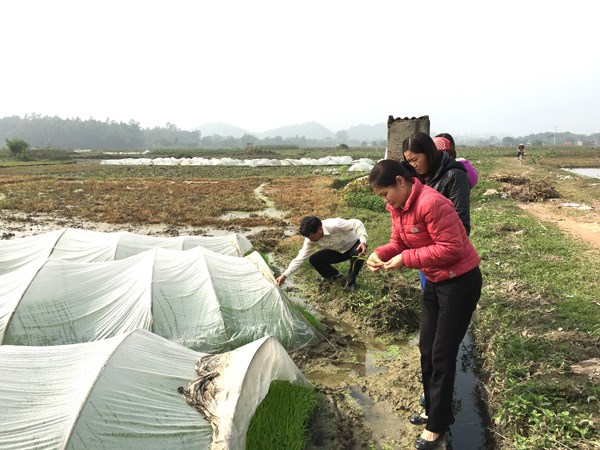 Các biện pháp ứng phó với rét đậm, rét hại (21/12/2021)